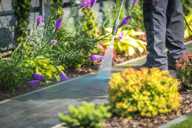 Best Restaurant Pressure Washing  in Bellmawr, NJ