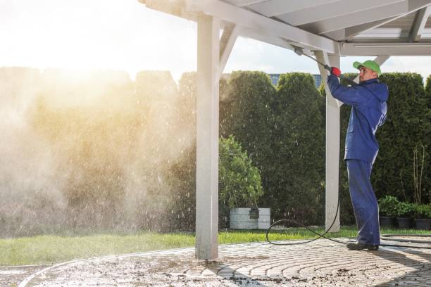 Best Roof Washing  in Bellmawr, NJ